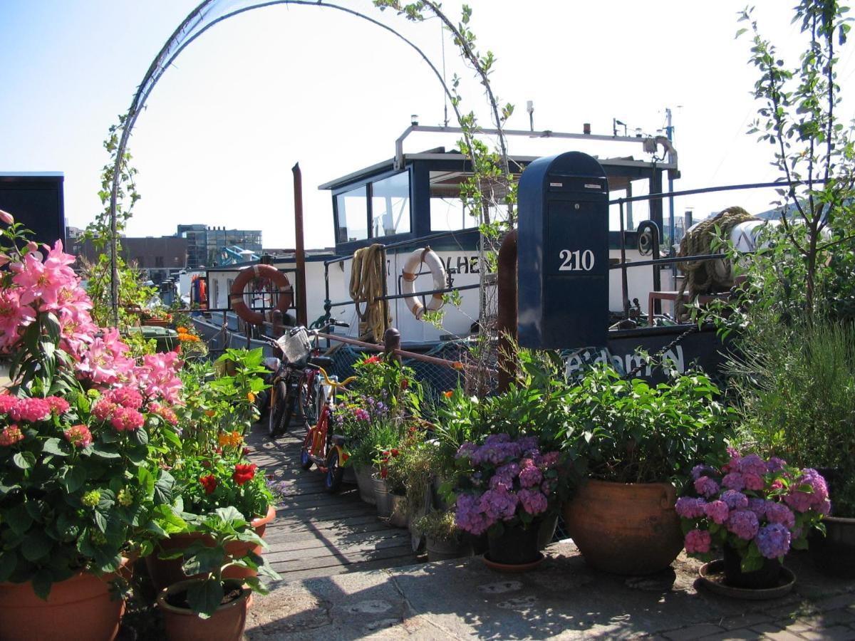 阿姆斯特丹Boat & Breakfast Alhena住宿加早餐旅馆 外观 照片